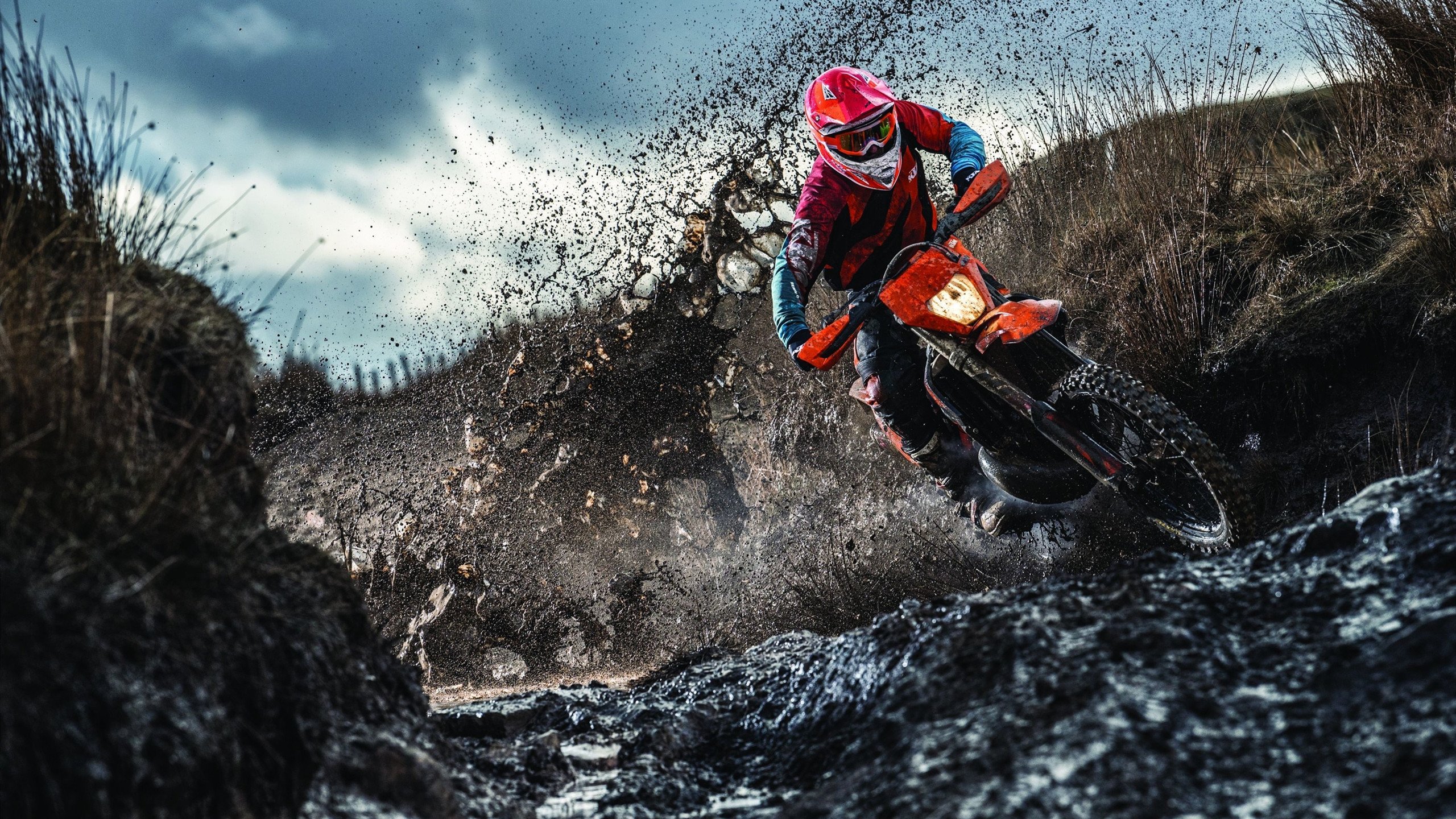 新疆队对阵掘金，福克斯贡献制胜表现，当东方狼性撕碎丹佛高原